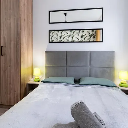 Apartment Dabska Street - Luxury